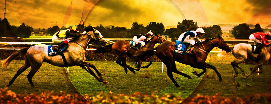 betting exchange 247